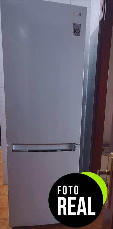 lg-frigorifico-combi-600-gbp61dspgn-foto-1